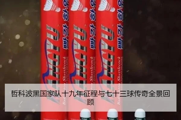 哲科波黑国家队十九年征程与七十三球传奇全景回顾 | kaiyun
